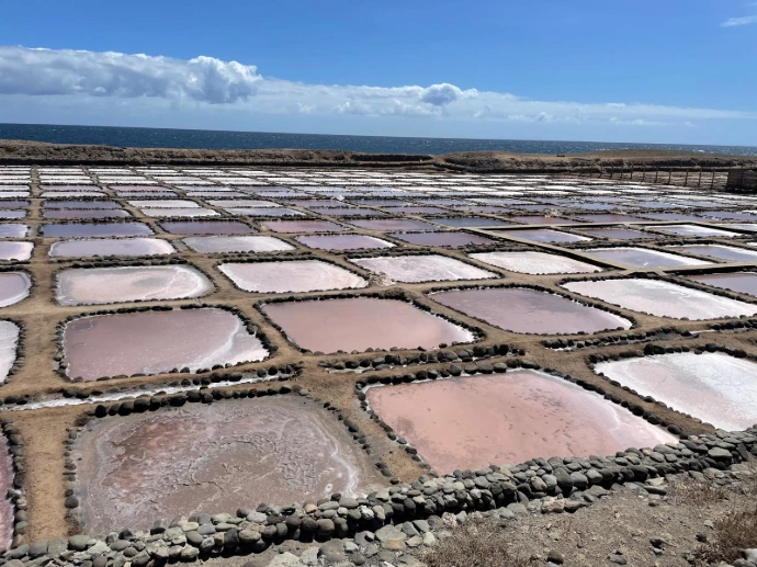 Les salines de Tenefé, à Gran Canaria, où sont récoltés nos sels