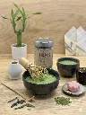 Mise en situation culinaire de Thé Vert Matcha