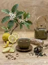 Mise en situation culinaire de Thé Vert Citron Gingembre