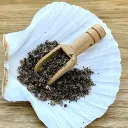 sel puta la madre zoom 1498.webp